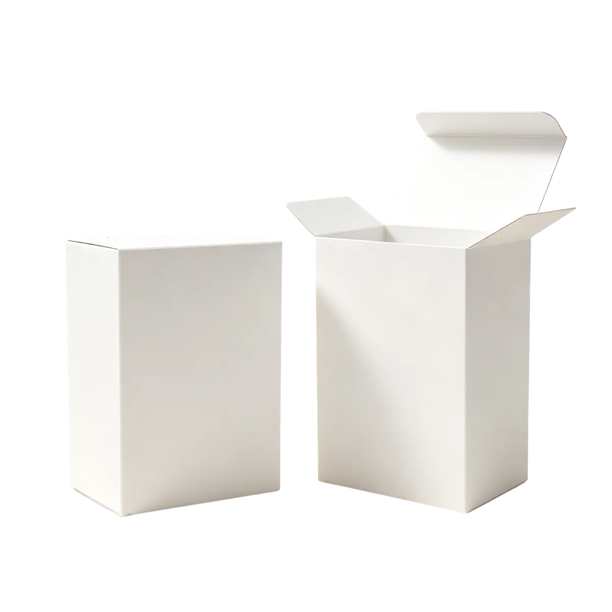 Carton packaging type