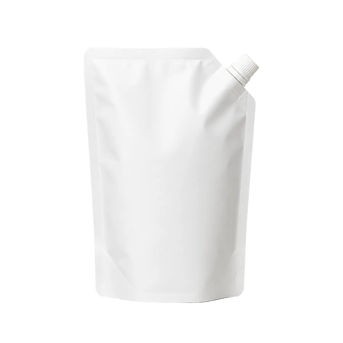Spout pouch packaging type