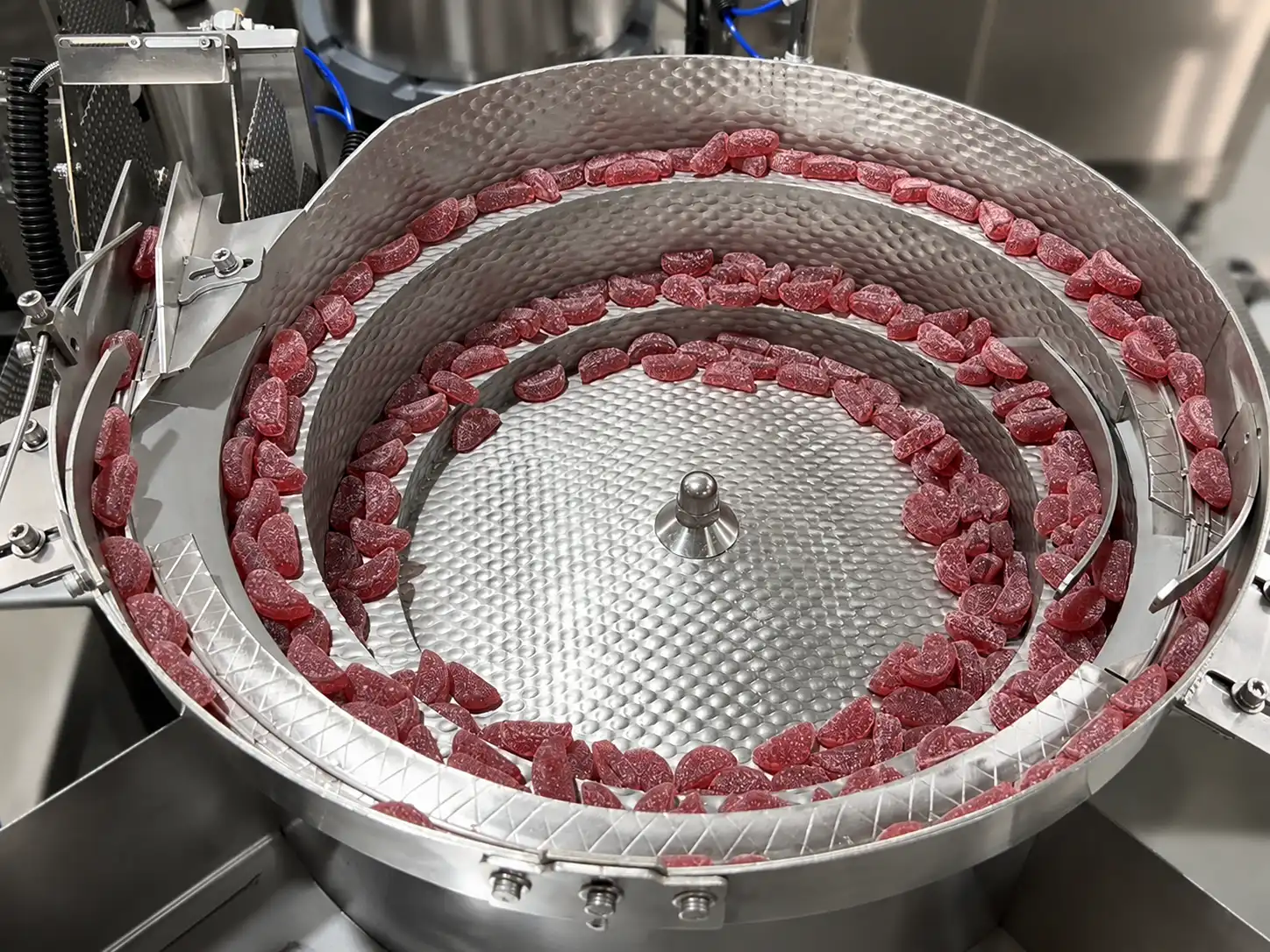 Counting system feeding a premade pouch packing machine